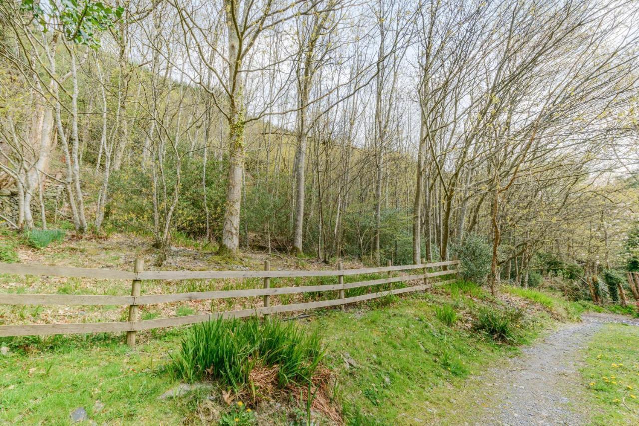 Apartamento 2 Isygraig Corris Exterior foto